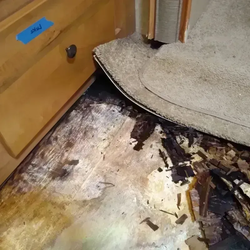 Best Wood Floor Water Damage Service in Beechwood Trails, OH